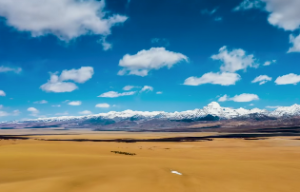 七杀朝斗是稀有格局吗