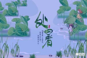 处暑吃什么食物最好