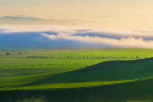 紫微斗数流月流日流时排盘