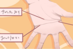 手掌的太阳线代表什么意思