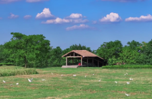 八字劫财旺是什么意思