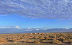 紫微斗数看配偶谁追求谁