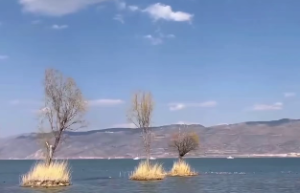 几时出生是天道转世