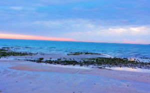 寅时是什么星下凡