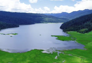 合婚有什么要点?