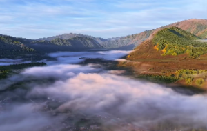 大林木路旁土命相克吗