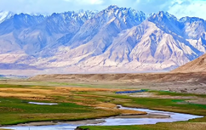 桑拓木命是啥意思