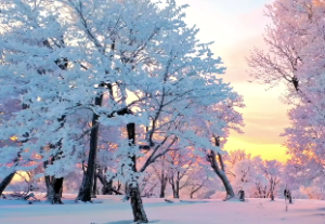 天府星入十二宫详解