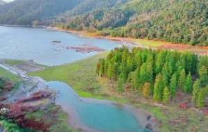 八字中身旺和身强是一回事吗