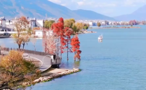 长生十二宫位详解