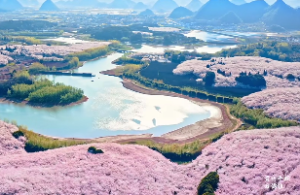 泽地萃(萃卦) 荟萃聚集