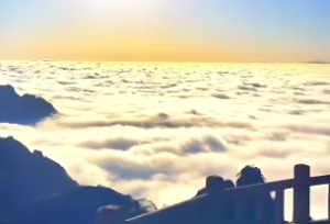 羊的天干地支属相