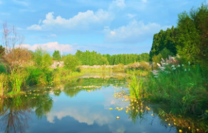 长流水命五行属什么