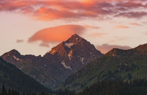 四柱纯阳的概率是多少