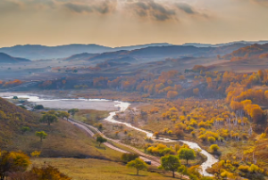 偏官的晶灵是什么意思