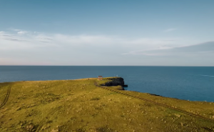 事业大成的八字