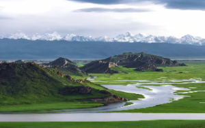 十神生克与的职业关系