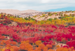 文昌塔核心禁忌