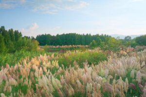 长流水命和什么命最配