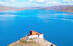 天干己代表什么生肖