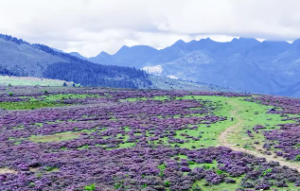 推命的基本法则是什么