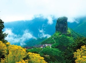 清明节迁坟风水禁忌是什么