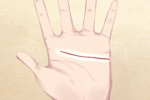 人有几段婚姻看手相能看出来吗