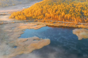 八字纯阳的人命运是好是坏