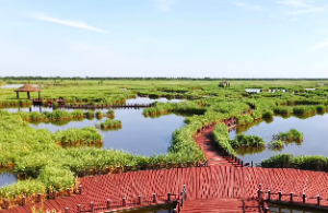 寅巳申三刑必出什么事