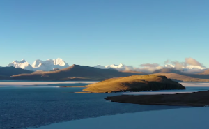 亥时出生什么命