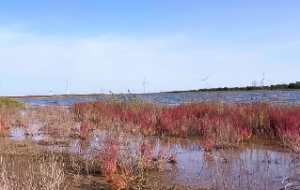 金箔金命几月出生的孩子好