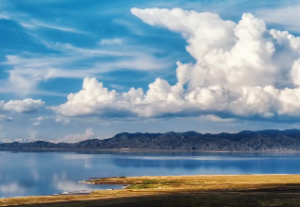 太阳紫薇是什么意思