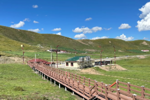 井泉水命是属于几等命