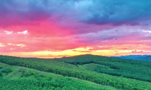 十二地支水法详解