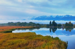 紫微斗数看事业看哪个宫