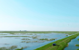  四柱八字命理经典断语 