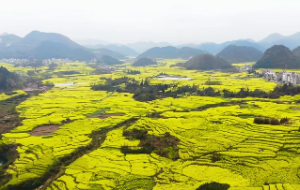 男命女八字什么含义