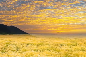 土命人的吉利方位