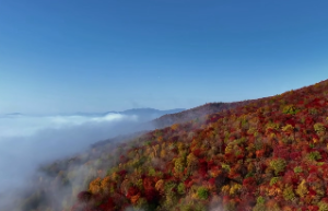 四柱里怎样确定结婚时间
