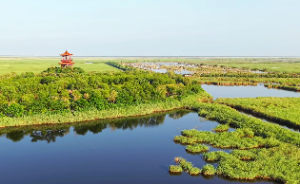 四柱具体信息类象