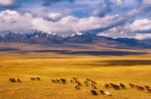 易经泽山咸卦详解白话