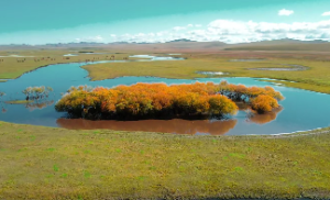 大海水和钗钏金相克吗