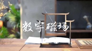 天医磁场代表