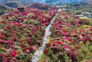 廉贞星官禄宫看另一半