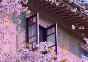 水风井卦对财运的启示