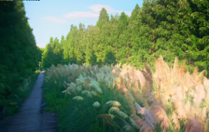  庚金女适合做什么行业