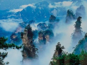 阴阳五行生克之理是什么