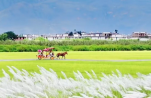 地支十神正印偏印什么意思