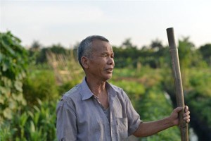 梦见老伯伯死了什么预兆呢周公解梦