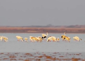 八字没财星的男人婚姻